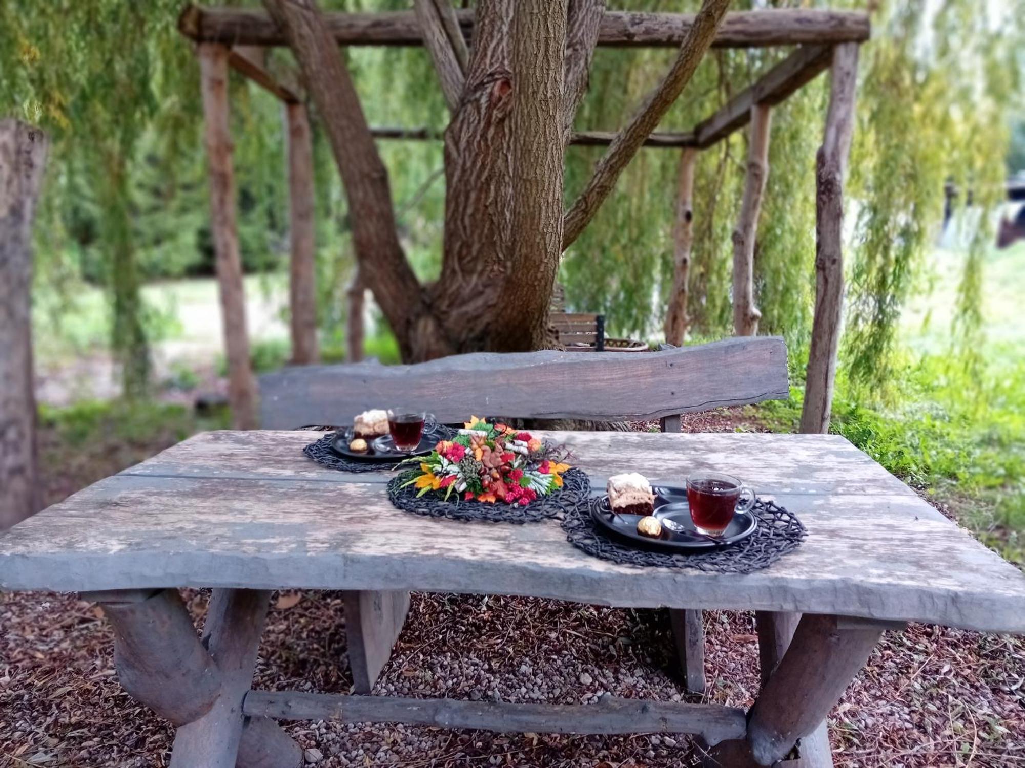 Stara Szkolas7 Noclegi,Mzajezierze 8 14-330 Mazury Maldeuten Exterior foto