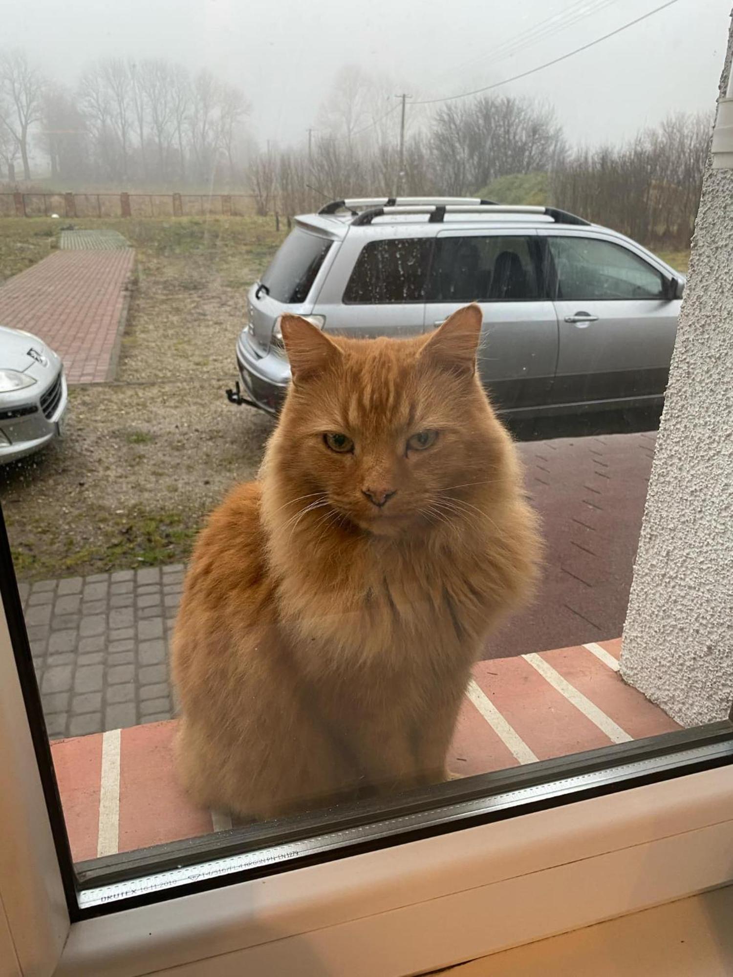 Stara Szkolas7 Noclegi,Mzajezierze 8 14-330 Mazury Maldeuten Exterior foto