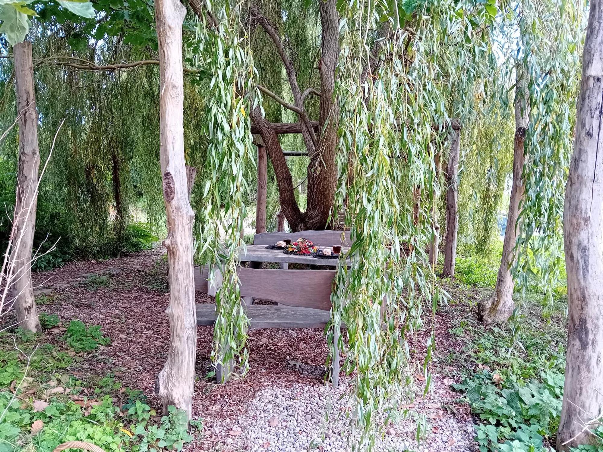 Stara Szkolas7 Noclegi,Mzajezierze 8 14-330 Mazury Maldeuten Exterior foto